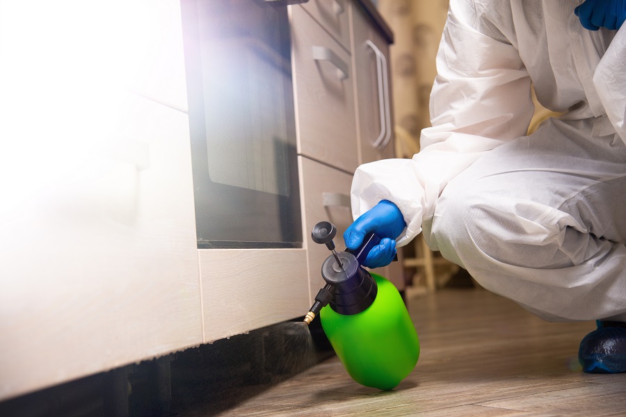 Hawx Pest Control Rescued Us From a Bed Bug Problem